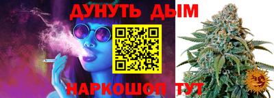 амф Новозыбков