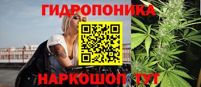 амф Новозыбков